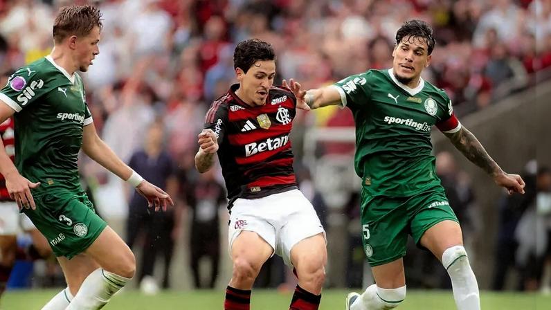 Flamengo x Palmeiras pelo Campeonato Brasileiro (Foto: Adriano Fontes/Flamengo)