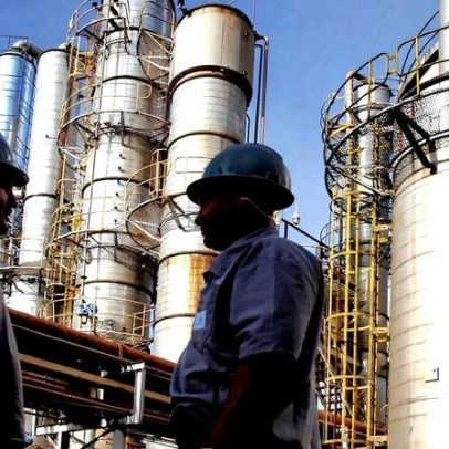 Brasil pode criar 760 mil empregos em bioenergia até 2030, aponta estudo