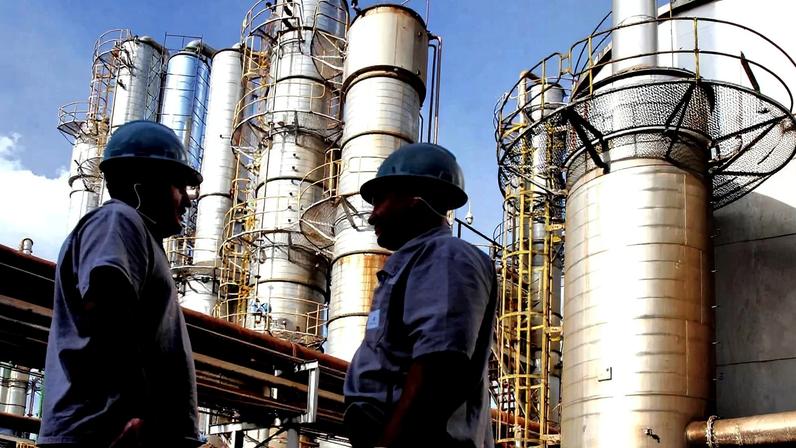 Produção de etanol da cana-de-açúcar: país concentra 26% da força de trabalho global do setor (NELSON ALMEIDA/Getty Images)