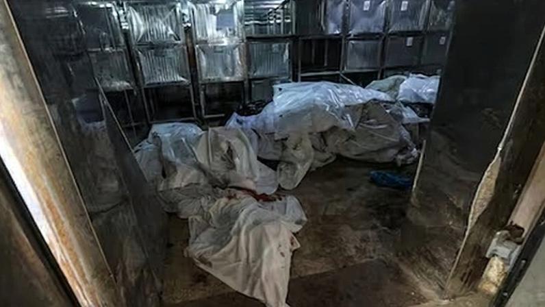 Los cuerpos de palestinos muertos en los ataques israelíes de este sábado sobre la Franja, en el depósito de cadáveres del hospital Al Shifa en Ciudad de Gaza. MOHAMMED SABER (EFE)