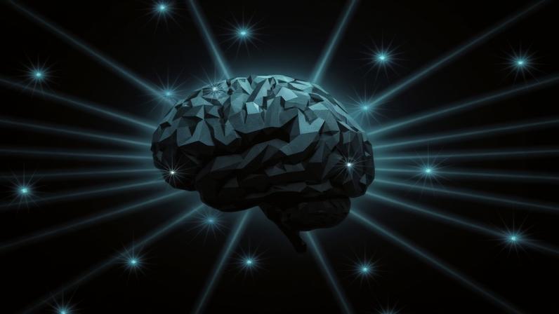 Image: Cath Virginia / The Verge