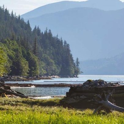 Tribunal analisa nesta segunda pedido de libertação de Sarkozy