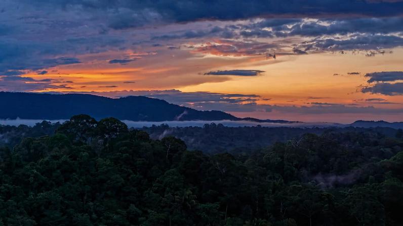 Sunset over Borneo in 2025. Photo by Rhett Ayers Butler