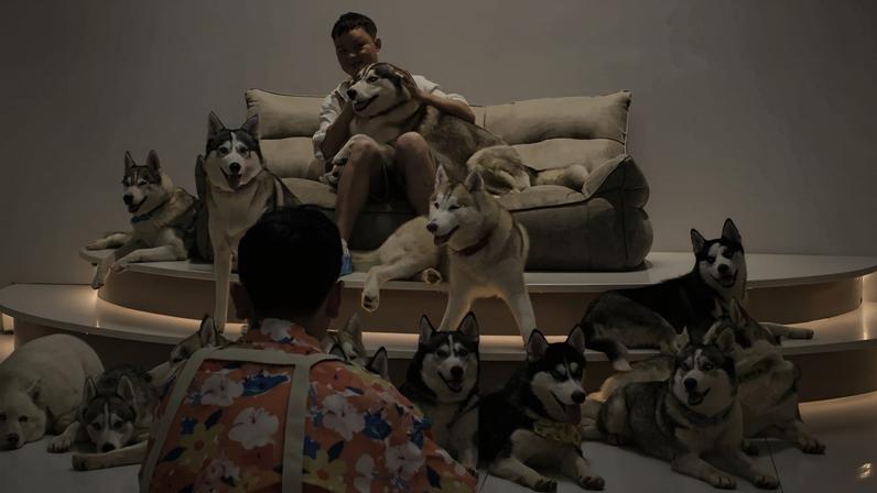Chinese bachelor Zhou poses with Huskies.