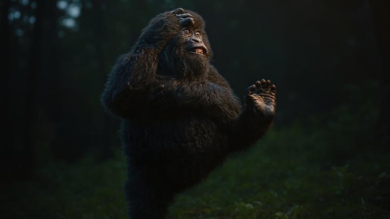 (Mark Meth Cohn (UK)/ The Comedy Wildlife Photography Awards 2025/Divulgação)