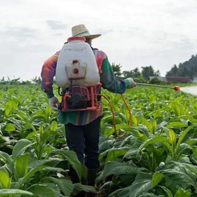 Estudo sobre segurança do glifosato é despublicado após 25 anos