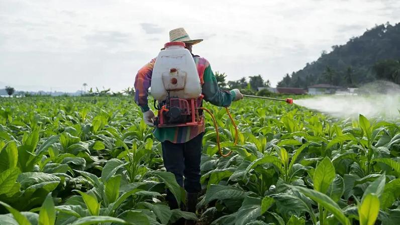 (Vithun Khamsong/Getty Images)