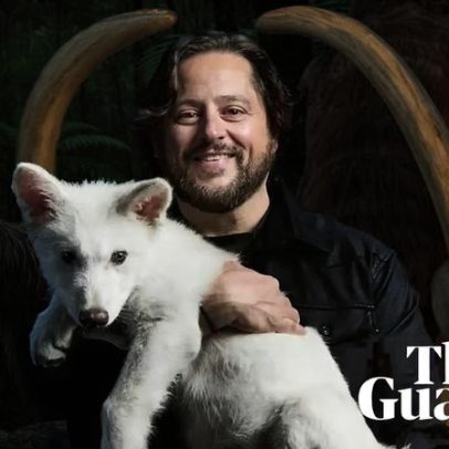 Colossal animais geneticamente modificados ainda não são espécies de verdade