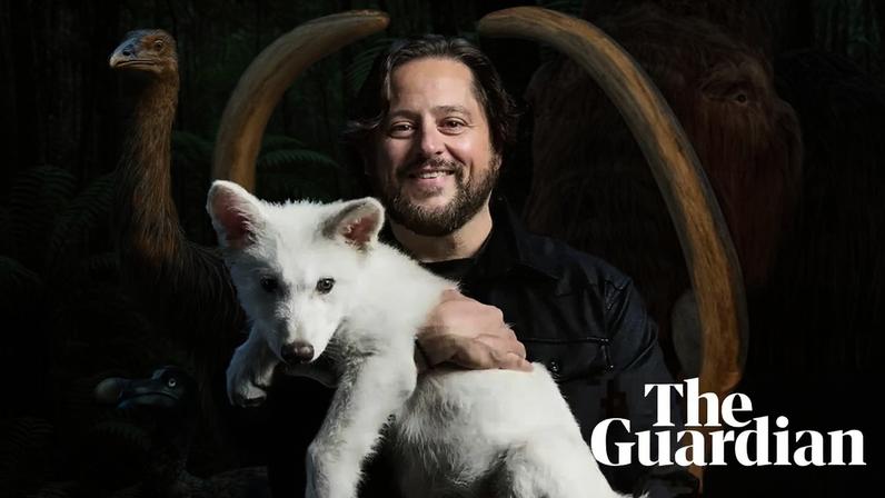 Colossal animais geneticamente modificados ainda não são espécies de verdade