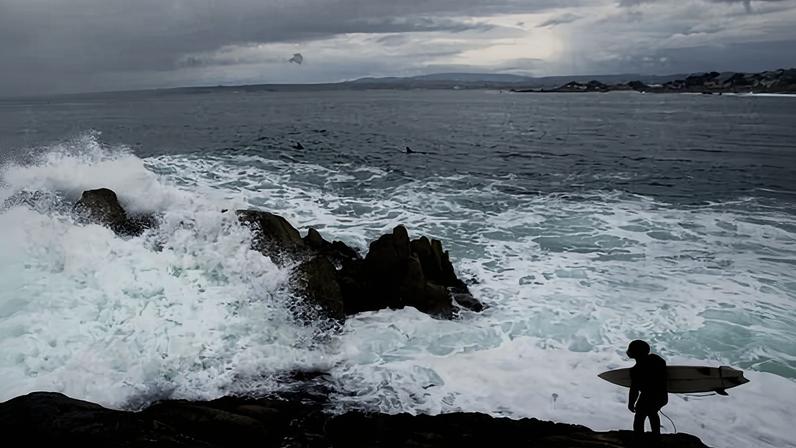 Corpo de triatleta é encontrado na Califórnia após ataque de tubarão