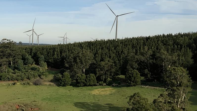 Artist’s impression of the Delburn windfarm in Victoria’s Latrobe valley. The Victorian government's State Electricity Commission announced it was purchasing the $650m project.