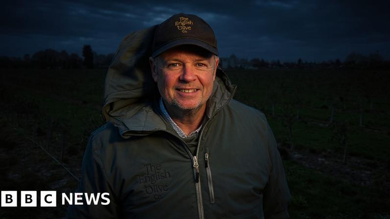 David Hoyles is growing a commercial olive crop on land near Spalding