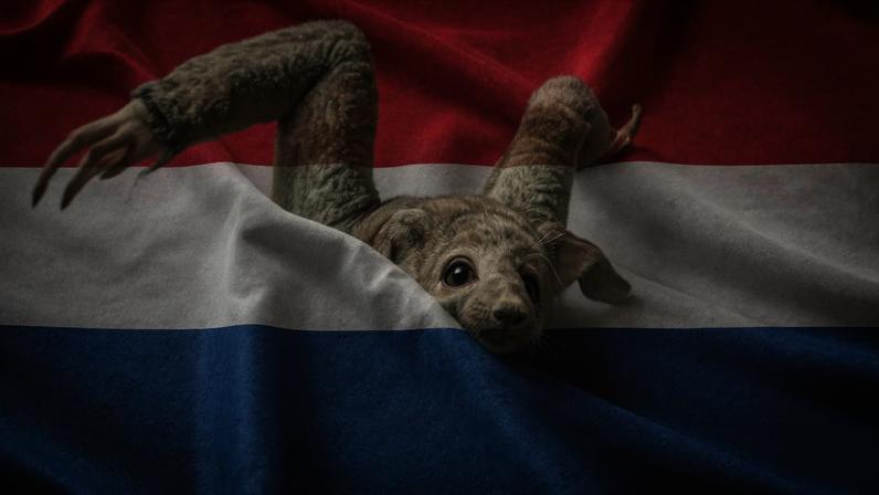 Netherlands