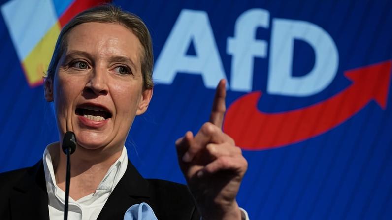 Alternative für Germany co-leader Alice Weidel met with JD Vance just days before Germany’s general election.