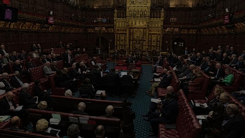 The letter says delays risk ‘setting a precedent which would undoubtedly increase the calls for a radical reform of the House of Lords sooner rather than later’. Photograph: House of Lords/UK Parliament/PA