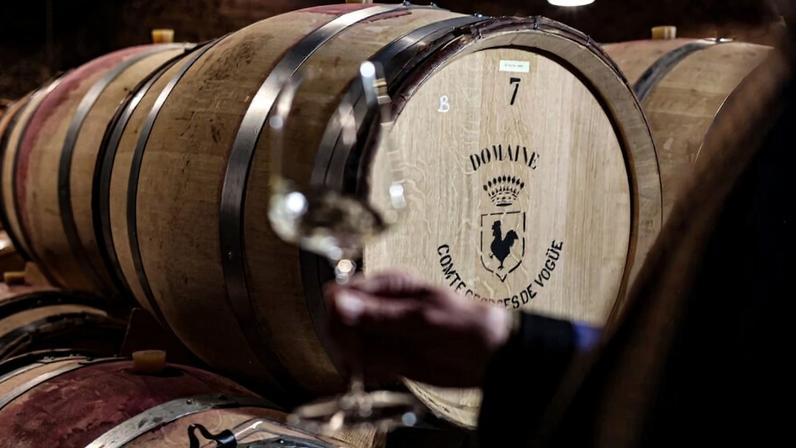 Tasting the 2024s