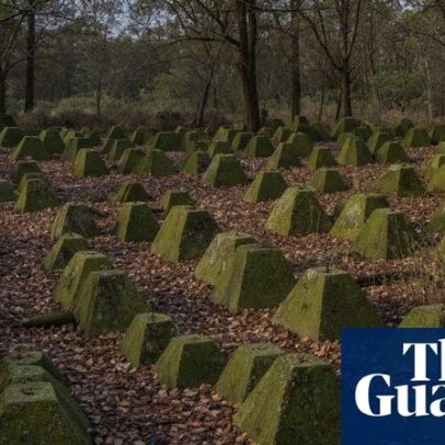 Dentes de Dragão e Jardim de Elfos entre adições de 2025 ao Patrimônio Inglês