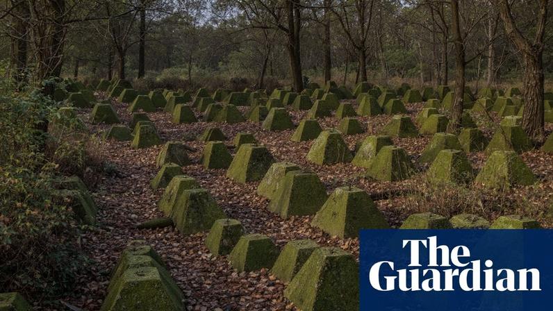The dragon’s teeth in Thorneycroft Wood, Surrey, were built in 1941-42 to defend against invasion.