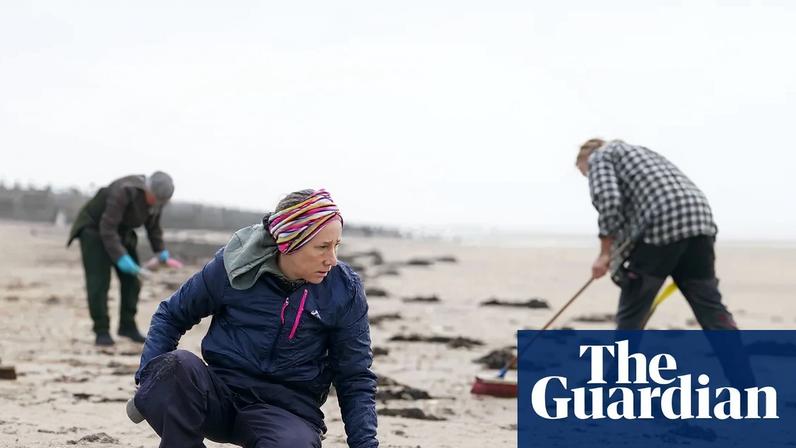 Volunteers take part in a clean-up operation at Camber Sands in East Sussex. Photograph: Gareth Fuller/PA