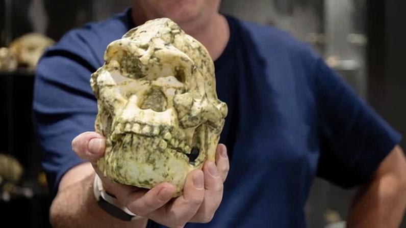 Dr Jesse Martin of La Trobe University thinks Little Foot could be a whole new branch of the human family tree. Photograph: La Trobe University
