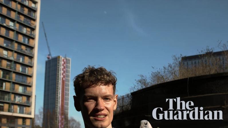 ‘We never found out exactly what caused her to fall from the sky’ … Jack Chadwick with Belinda the pigeon in Manchester.