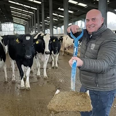 Quantas casas poderiam ser aquecidas com esterco de vaca?