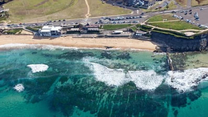 A man with tattoos linked to white supremacist ideology, including symbols associated with the Nazi SS, was seen at Newcastle’s Bar beach on Christmas Eve.