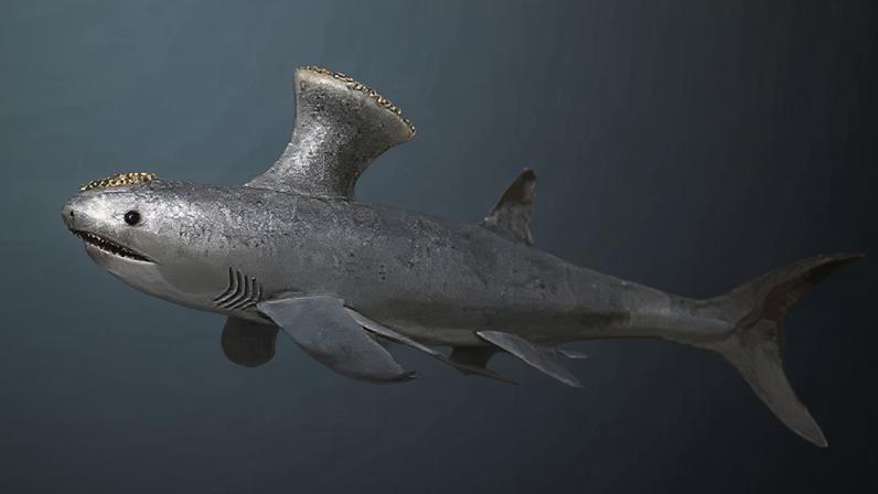 The Bearsden shark was discovered near Glasgow in 1982