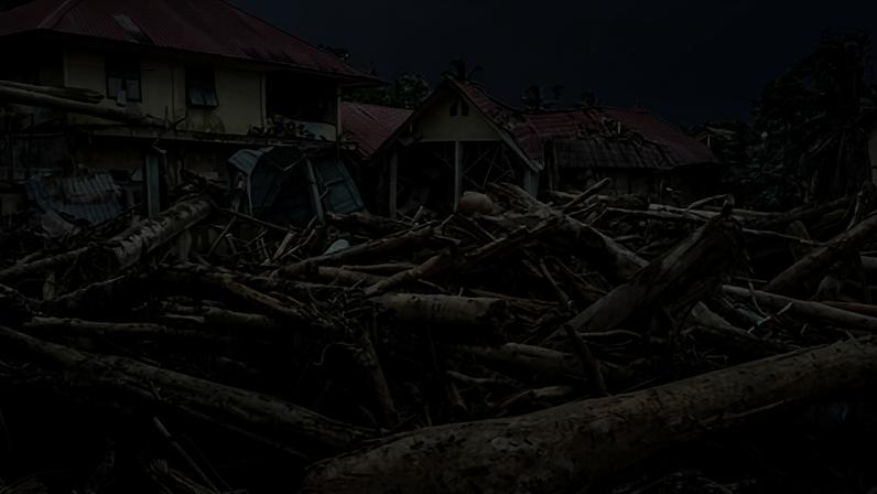 Uprooted trees remain after flood waters have receded in Aceh, northern Sumatra, on 14 December.