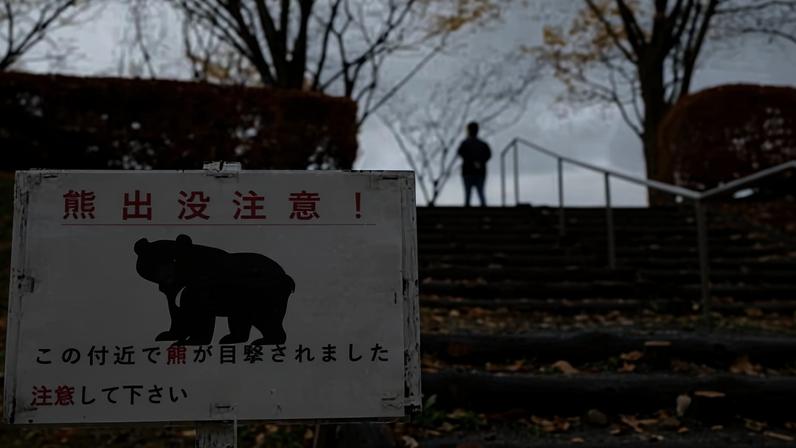 A bear warning sign in Akita, Akita Prefecture, northeastern Japan.