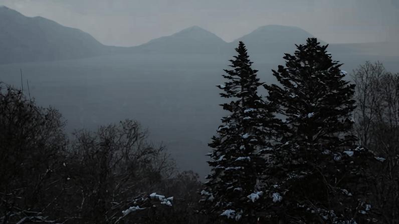Trees in Japan's northern Hokkaido prefecture, where a boy has died after becoming caught in a travelator during a skiing trip.
