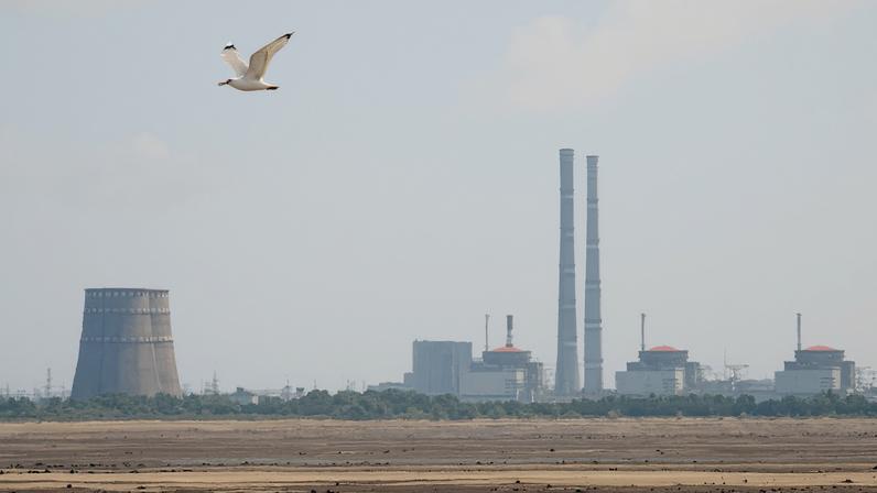 A view shows Zaporizhzhia Nuclear Power Plant in Dnipropetrovsk region, Ukraine June 16, 2023. REUTERS/Alina Smutko/File Photo