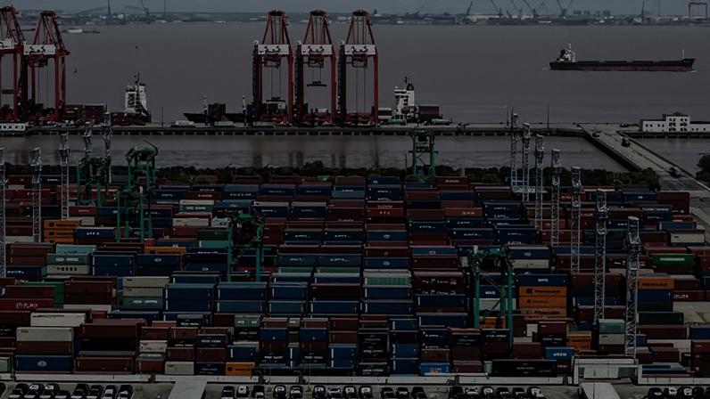 A fleet of electric vehicles for export at a Shanghai port.