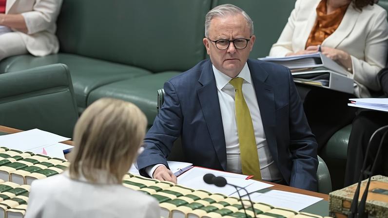 Both Labor and the Coalition will face major challenges in 2026, with leaders Anthony Albanese and Sussan Ley under pressure from political events – and within their own parties.