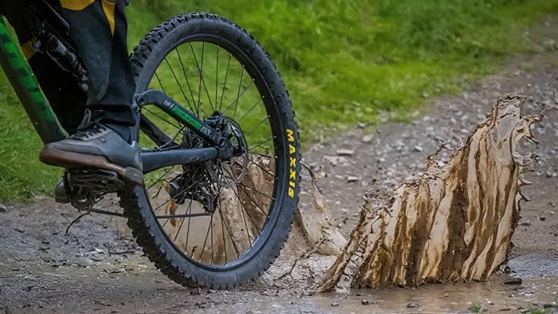 A number of trails across southern Scotland have been shut for safety checks