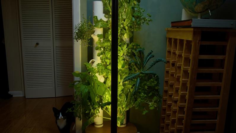 The Gardyn Studio is that rare piece of tech that looks good inside my home.