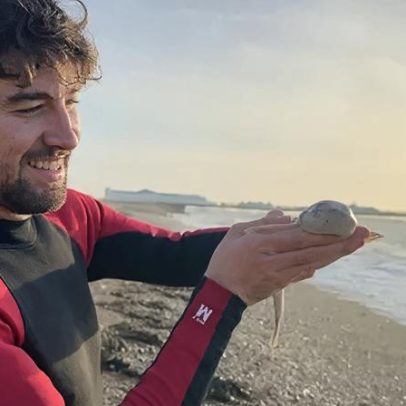 Resgatista de filhotes de tubarão salva vidas em seu viveiro