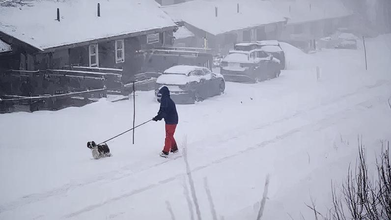 The Swedish Meteorological and Hydrological Institute issued alerts for strong winds across large parts of northern Sweden as Storm Johannes hit