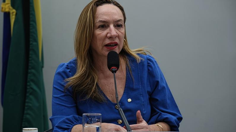 Comissão da Câmara aprova projeto que protege mulheres em audiências judiciais. Foto: Renato Araujo (Agência Câmara)