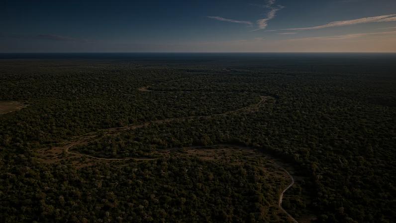 The Gran Chaco landscape.