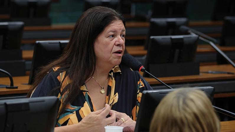 Laura Carneiro defende gratuidade judicial para grupos em situação de vulnerabilidade. Foto Renato Araújo (Agência Câmara)