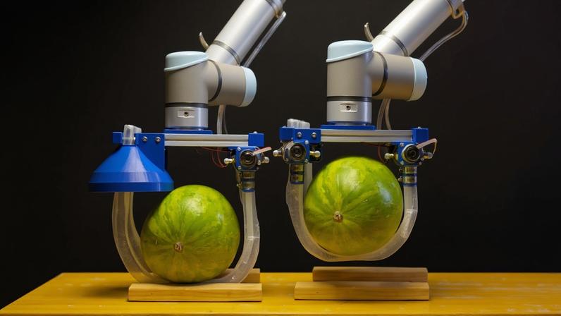 The researchers demonstrated that the vine robot can safely and stably lift a variety of heavy and fragile objects, like a watermelon.