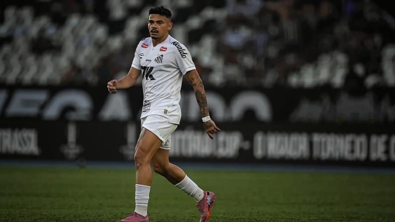 Tiquinho Soares em Botafogo x Santos, pela Série A de 2025. Foto: Thiago Ribeiro/Agif/Gazeta Press