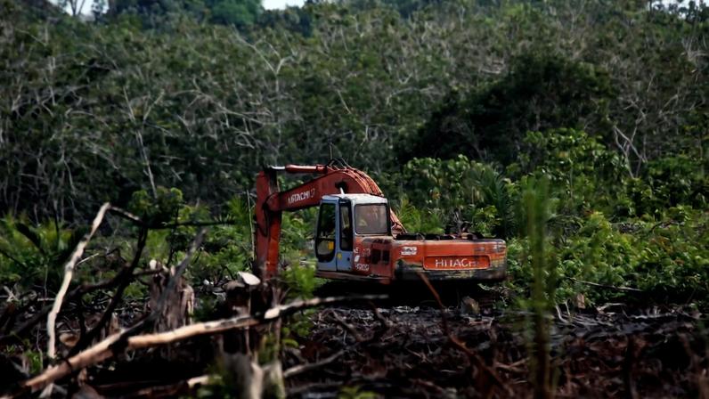 Tropical peatland clearance in Riau, Indonesia. Image by Rhett A. Butler/Mongabay.