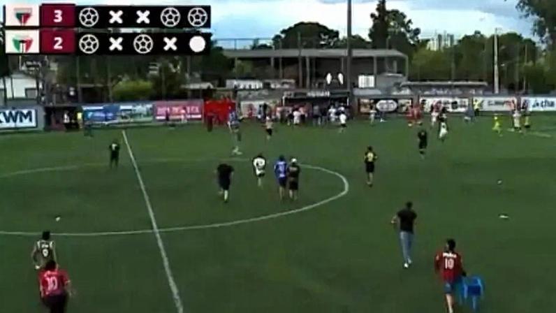 Torcedores invadem o gramado (Foto: Reprodução)
