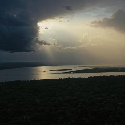 América Latina em 2025: promessas de conservação enfrentam crime e extração