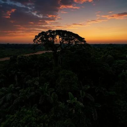BRICS+ oferece comunidades indígenas caminhos para metas ambientais e sociais