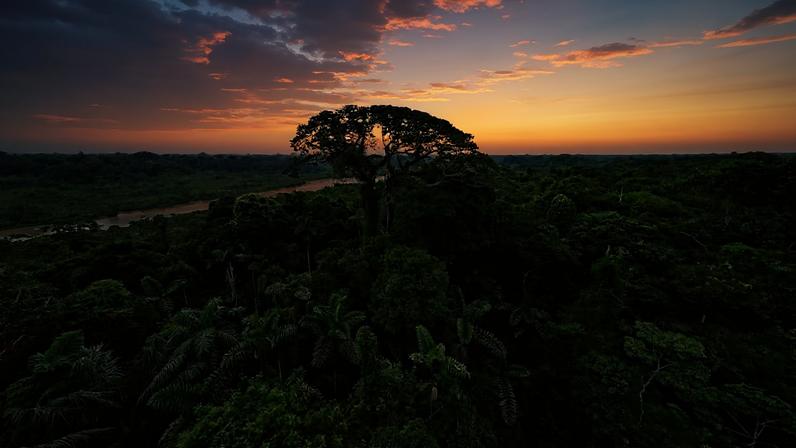 BRICS+ oferece comunidades indígenas caminhos para metas ambientais e sociais