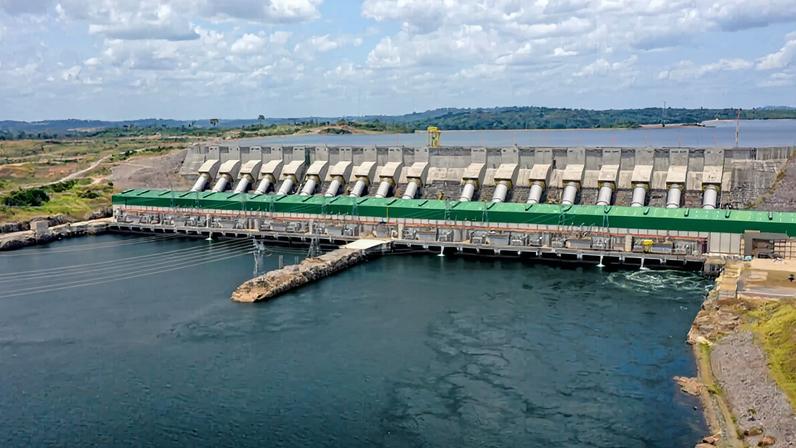 Deformidades de peixes revelam colapso do pulso do Xingu após Belo Monte