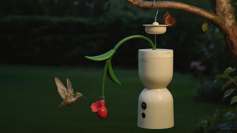Image: Birdfy